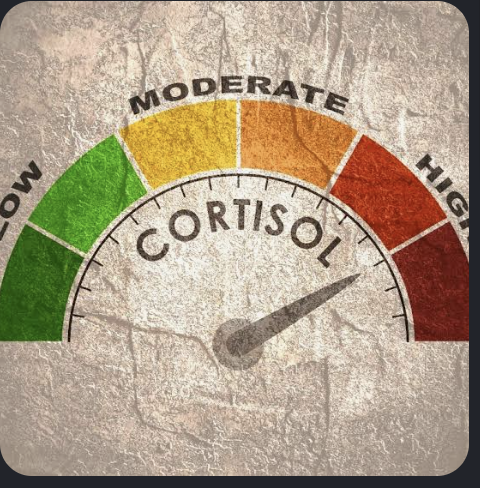 Cortisol Levels Meter Gauge